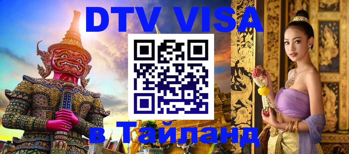 Оформление DTV визы под ключ: стоимость и тарифы, только загранпаспорт - 18.11.2025 